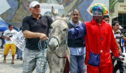 Rechazan inscribir a burro como candidato