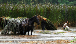 El aguacero que revivió el fantasma del huracán Mitch en Honduras