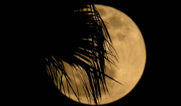 'Superluna” ilumina la Tierra