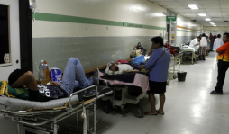 Vecinos del sureste, los más acechados por el dengue