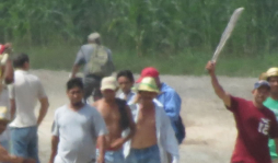 Invasiones causan pérdidas y costos de L400 millones