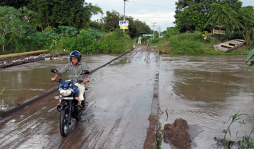 Alerta en campo Amapa, El Progreso