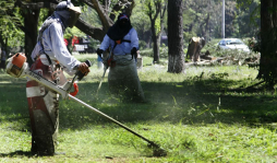 Revisarán si limpieza de bulevares está en contrato