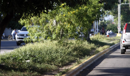 Limpieza de bulevares en San Pedro Sula, un negocio de 60 millones