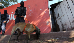 Supuestos vendedores de droga caen en operativo