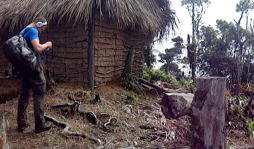 Científicos ingleses alarmados por destrucción del Cusuco