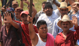 Invasiones dejan sin cosecha a cañeros para próximo año
