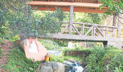 Baños públicos, atractivo turístico de La Esperanza