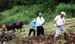 Difícil regreso a la Cuenta del Milenio