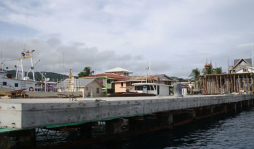 Construyen muelle en Guanaja