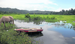 Joyas turísticas entre la maleza y la desidia