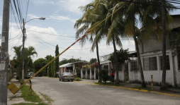 Alcaldía da luz verde a patronato de El Roble