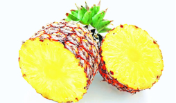 Venden piña cultivada en granja