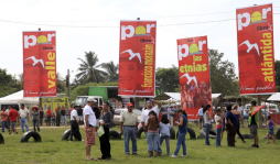 Honduras: lanzan candidatura de Xiomara de Zelaya