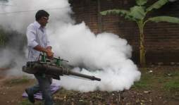 En aumento la cifra de casos de dengue