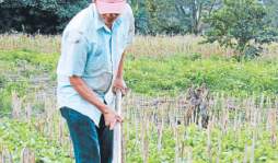 Familias del campo aumentan sus ingresos