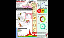 Sampedranos, los más afectados por dengue en Honduras