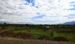 Proponen que cárcel de Comayagua sea en terreno del Estado