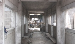 Bonito Oriental abrirá mercado