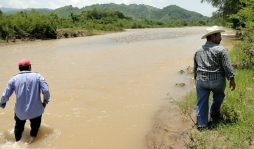 Cultivos continúan amenazados por crecidas del río Cuyamapa