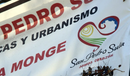 Afectados por plaga no reciben auxilio