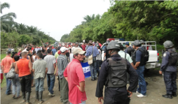 Suspenden desalojo en la finca San Isidro