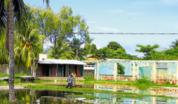 En condiciones antipedagógicas reciben clases niños de Omoa