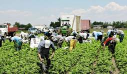 Renovación del TPS es un hecho, opinan líderes