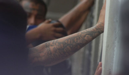 Proponen una sola Ley de Amnistía Social e Indulto