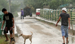 Con puente bailey habilitarán paso vehicular en La Fragua