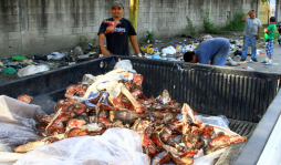 Hallan cráneos de perros y caballos en un basurero