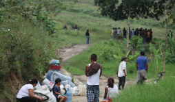 Desalojan a invasores de terrenos en Choloma