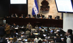 Congreso Nacional ya gastó el 50% del presupuesto