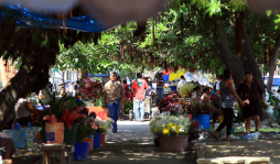 Parientes recuerdan a niños fallecidos