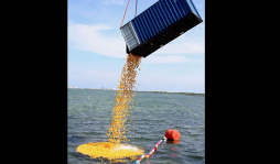 Una carrera de 12.000 patitos de plástico en México