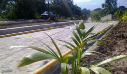 Inauguran calle empedrada