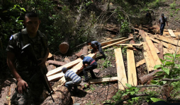 Hallan aserraderos clandestinos en montaña El Merendón