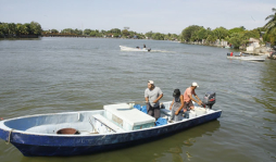 Sin apoyo mercado de pesca artesanal