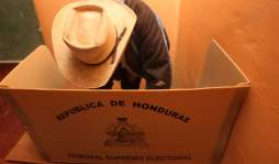 Liberales introdujeron las elecciones internas