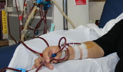 A diario detectan dos casos de insuficiencia renal