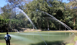 Descubren unas 80 especies de aves en parque El Ocote