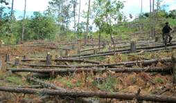 Zonas sur y norte de Honduras, las más afectadas por cambio climático