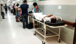 Epidemia de dengue podría repetirse este año