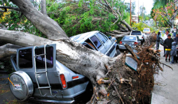 Fuertes vientos causan caos