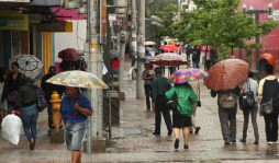 OMS lanza alerta de gonorrea resistente a tratamiento