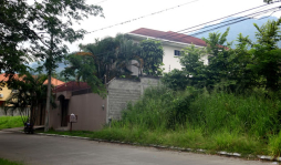 El dengue sigue al acecho