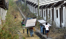 Saquean viviendas de Ciudad Mateo