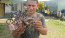 Hallan al pez león en la bahía de Trujillo y Castilla