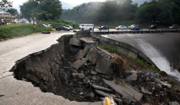 Once de 12 corporativos quieren seguir en sus cargos 4 años más