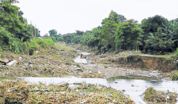 Cuatro colectores se necesitan construir en San Pedro Sula